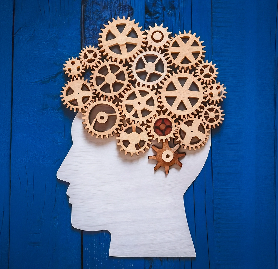 mindsetmaps gps mental